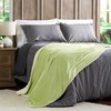 Hastings Home Poly Fleece Sherpa, Oversized Woven Polyester Solid Color Throw, Breathable (Aloe Green and White) 420850GPM